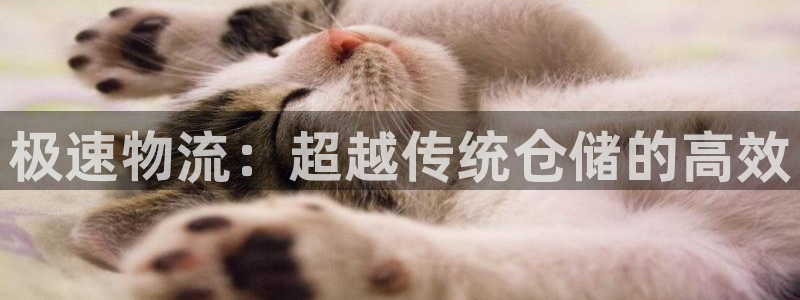 豪门国际如何注销账号：极速物流：超越