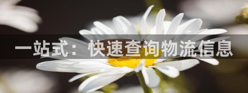 豪门国际v6能卖多少：一站式：快速查