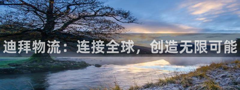 自行车豪门国际是什么意思：迪拜物流：