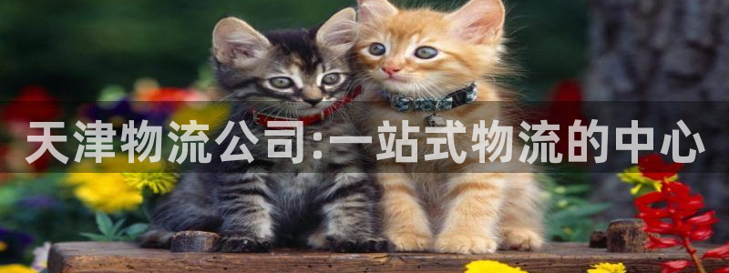 豪门国际软件堵什么反什么