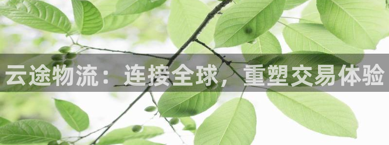 豪门国际链接多少：云途物流：连接全球