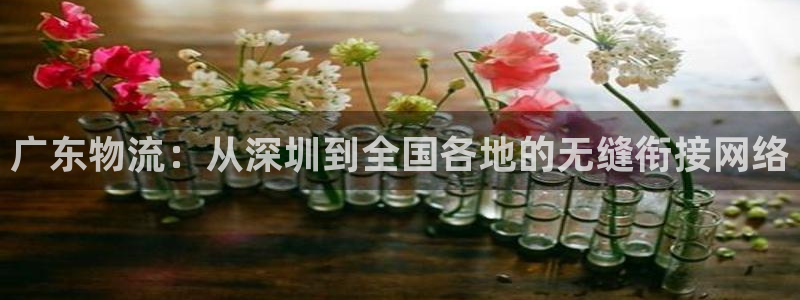 豪门国际注册上限是啥意思：广东物流：