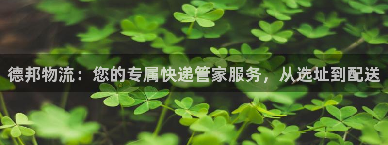 豪门国际返水怎么算的：德邦物流：您的