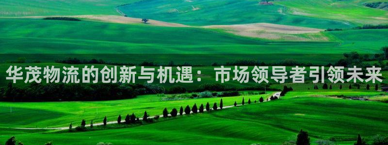 豪门国际注册上限是啥意思：华茂物流的