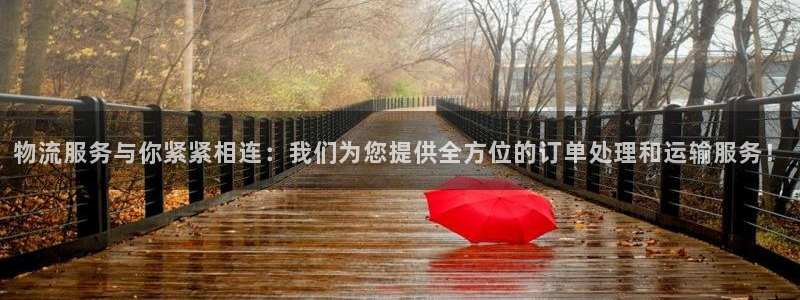 豪门国际能提现吗：物流服务与你紧紧相