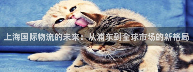 豪门国际加拿大怎么玩：上海国际物流的