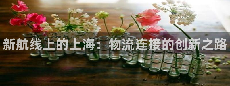 南宫豪门国际官网：新航线上的上海：物