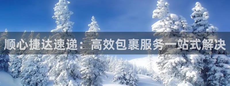 豪门国际预测网：顺心捷达速递：高效包