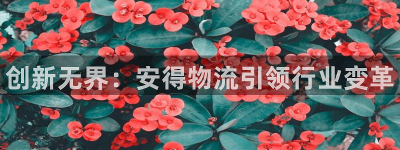 豪门国际官方：创新无界：安得物流引领