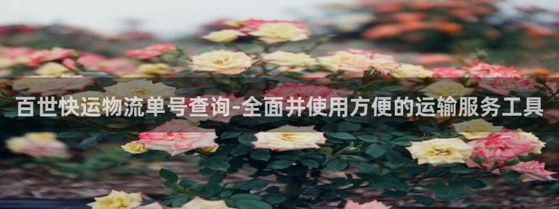 豪门国际官网入口pc是诈骗吗?：百世