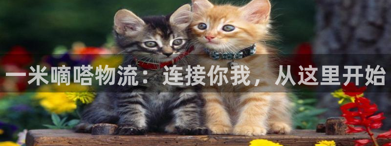 豪门国际游戏：一米嘀嗒物流：连接你我