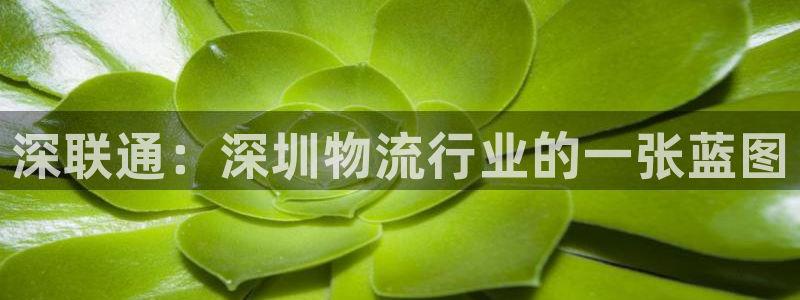 豪门国际官网平台：深联通：深圳物流行