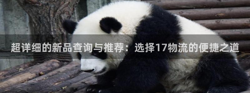 豪门国际官网入口：超详细的新品查询与