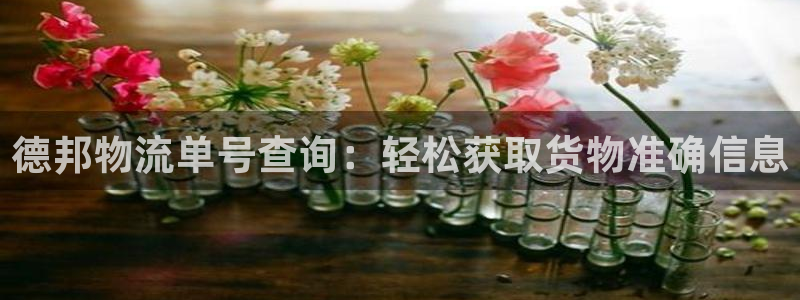 南宫豪门国际官网：德邦物流单号查询：