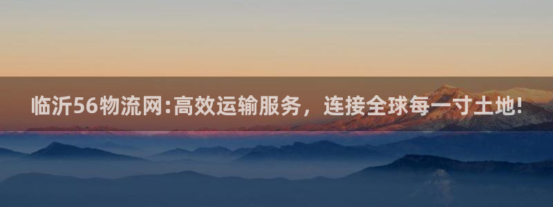 豪门国际黑款