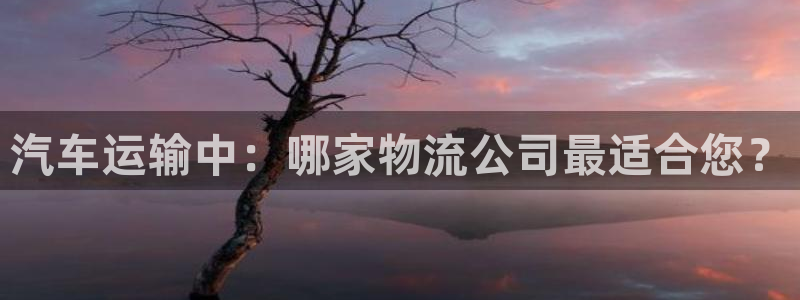 豪门国际旗下