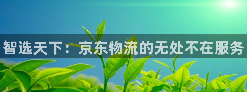 豪门国际犯法吗：智选天下：京东物流的